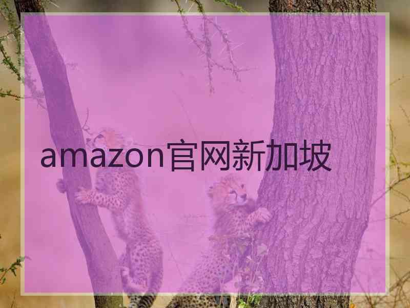 amazon官网新加坡