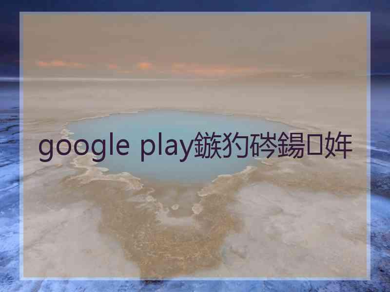 google play鏃犳硶鍚姩