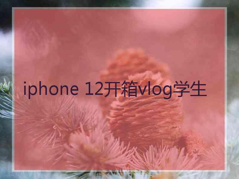 iphone 12开箱vlog学生