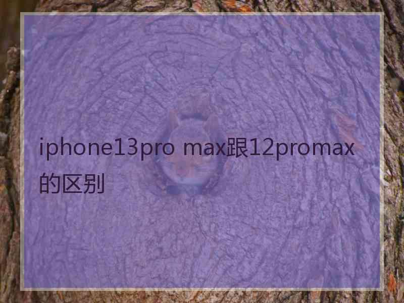 iphone13pro max跟12promax的区别