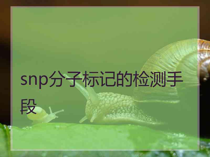 snp分子标记的检测手段