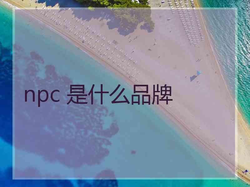 npc 是什么品牌