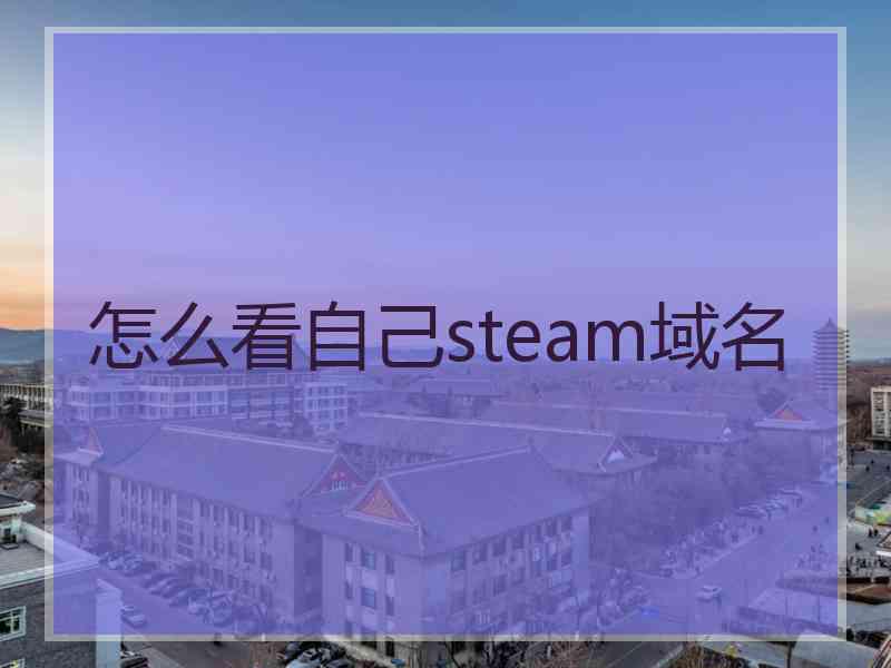 怎么看自己steam域名