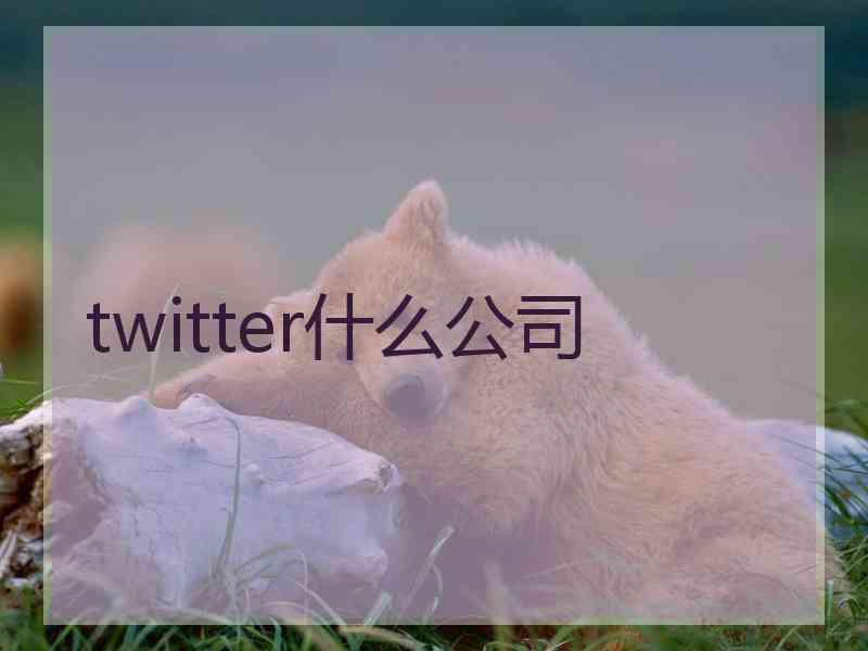 twitter什么公司