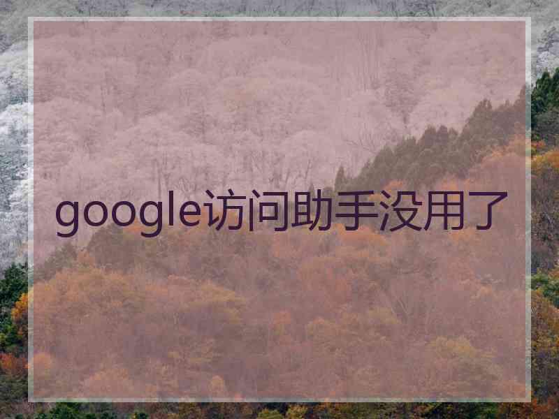 google访问助手没用了