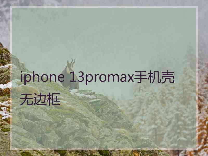 iphone 13promax手机壳无边框