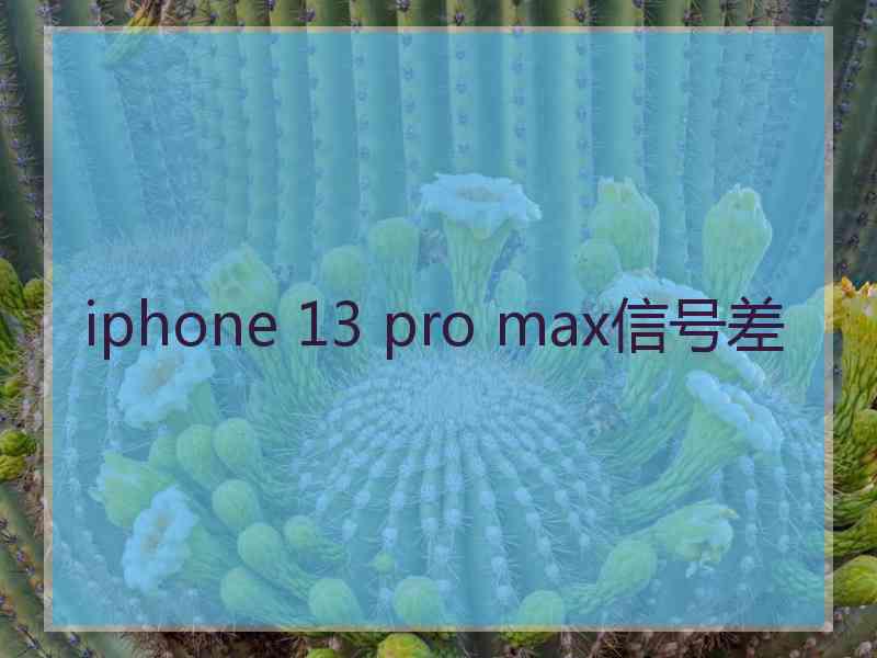 iphone 13 pro max信号差