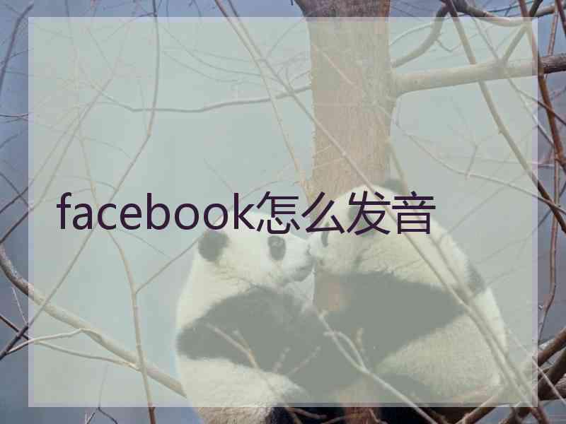 facebook怎么发音