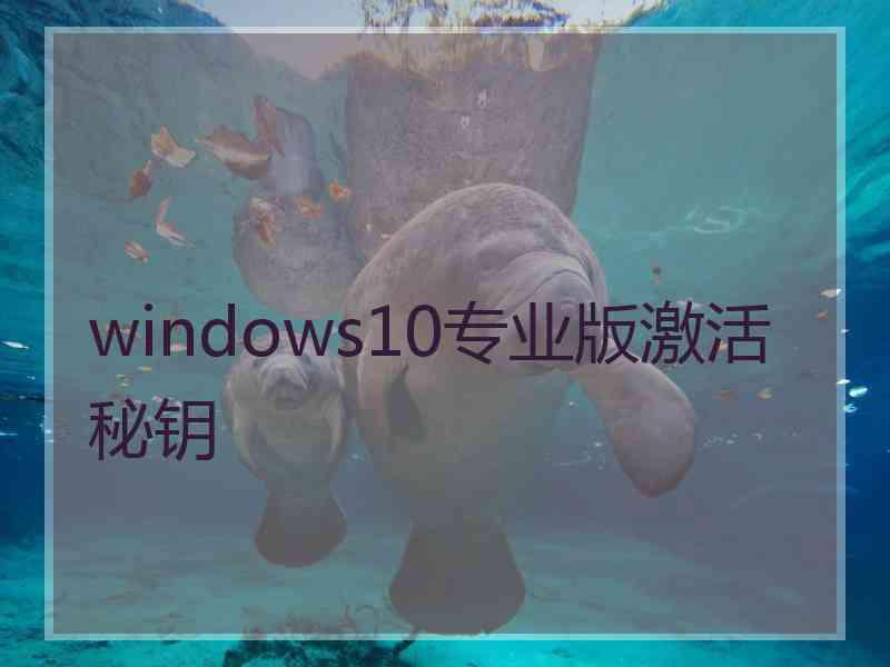 windows10专业版激活秘钥