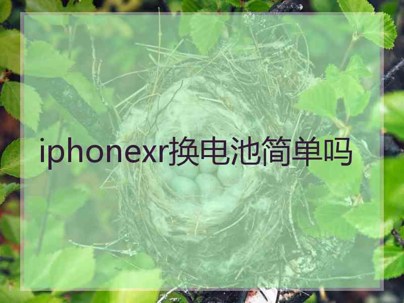 iphonexr换电池简单吗