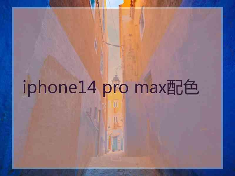 iphone14 pro max配色