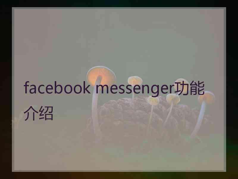 facebook messenger功能介绍