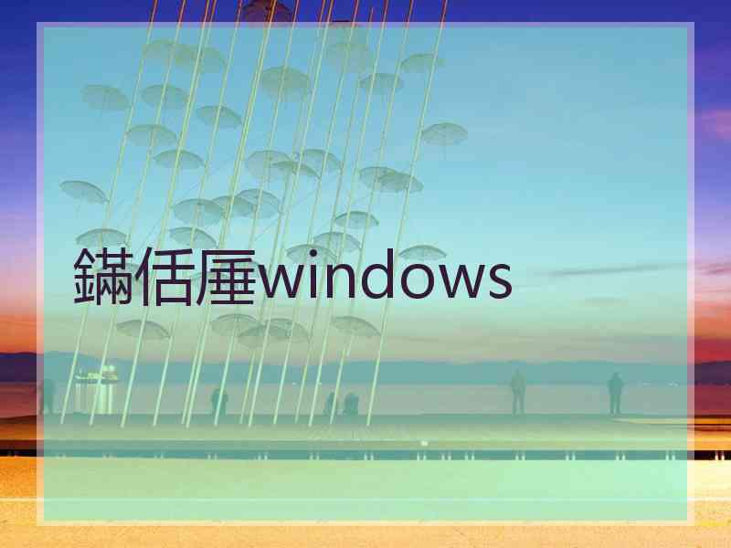 鏋佸厜windows