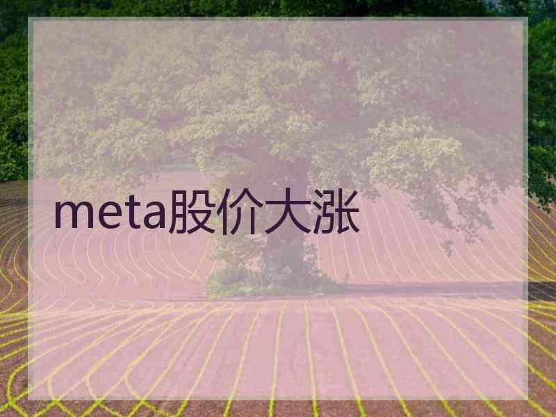 meta股价大涨