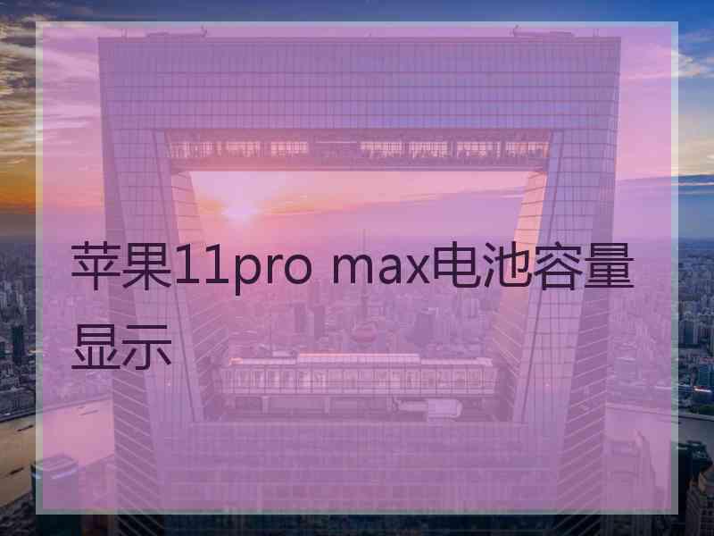 苹果11pro max电池容量显示