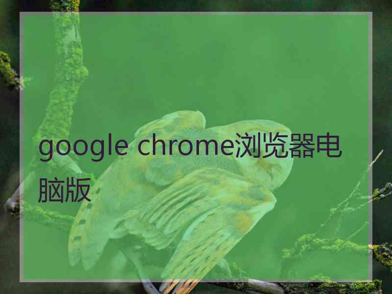 google chrome浏览器电脑版