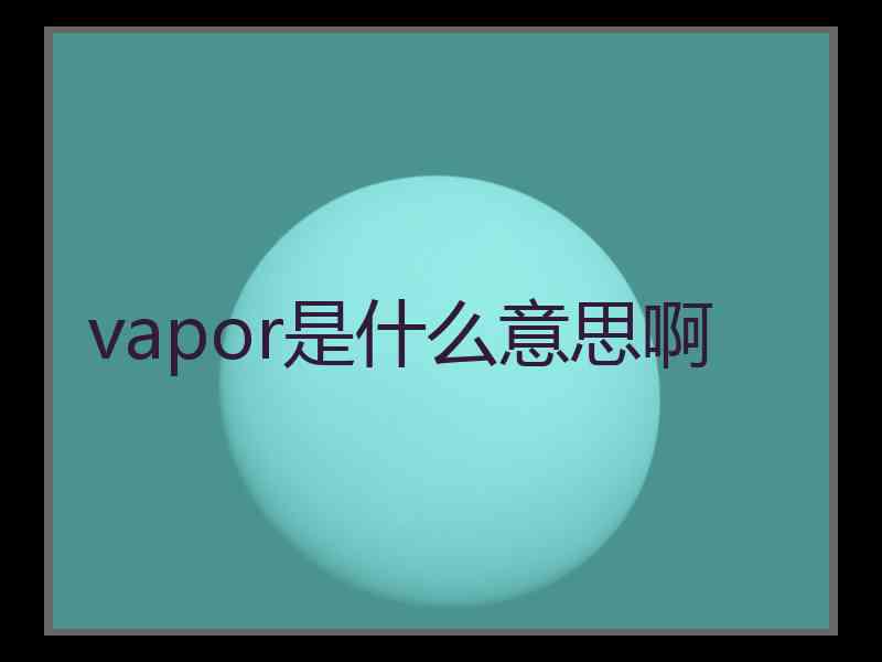 vapor是什么意思啊