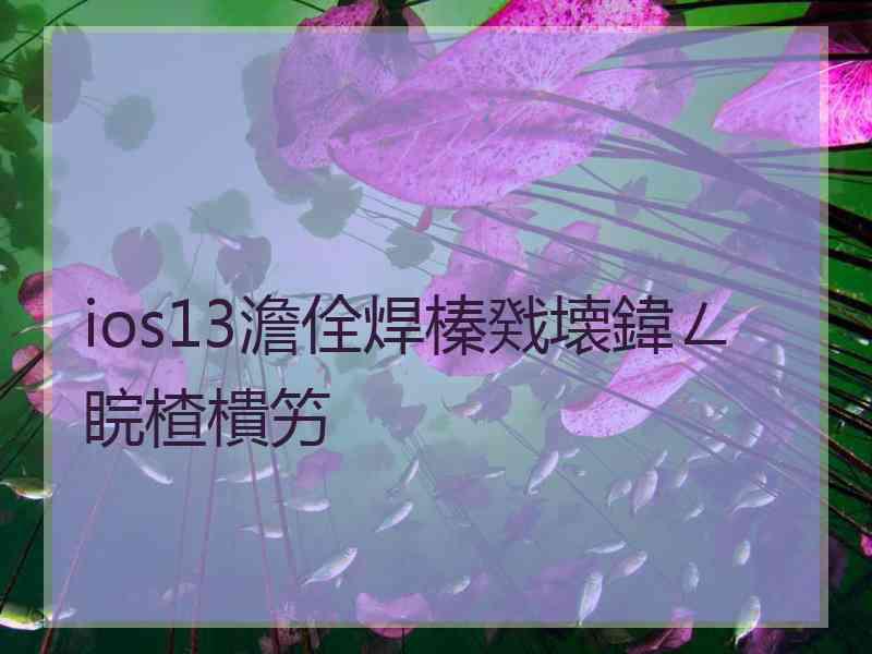 ios13澹佺焊榛戣壊鍏ㄥ睆楂樻竻