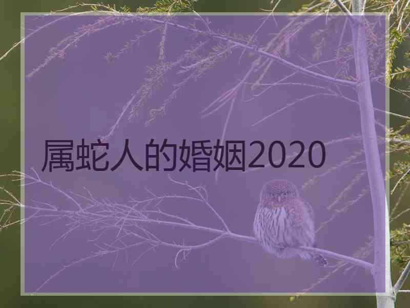 属蛇人的婚姻2020