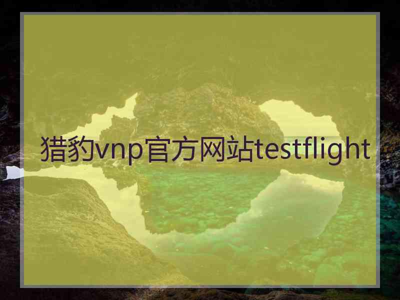 猎豹vnp官方网站testflight