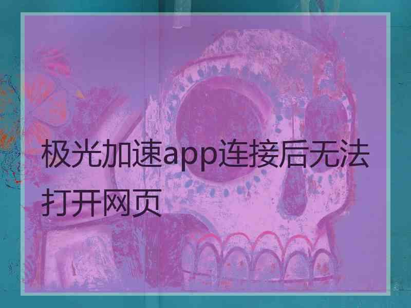 极光加速app连接后无法打开网页