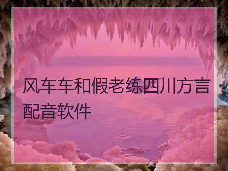 风车车和假老练四川方言配音软件