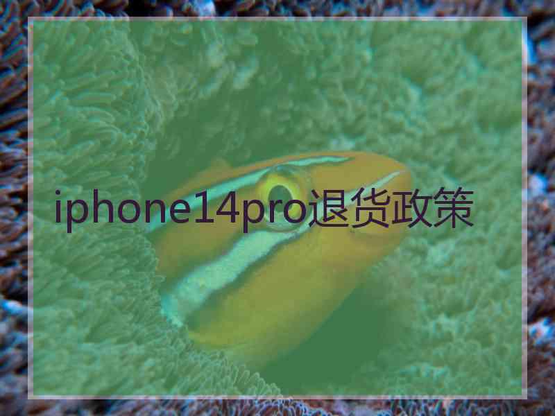 iphone14pro退货政策