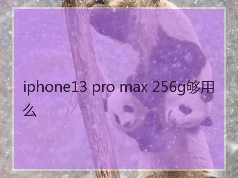 iphone13 pro max 256g够用么