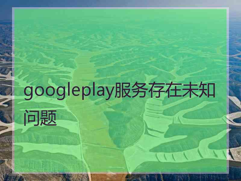 googleplay服务存在未知问题