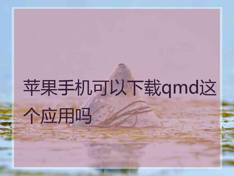 苹果手机可以下载qmd这个应用吗