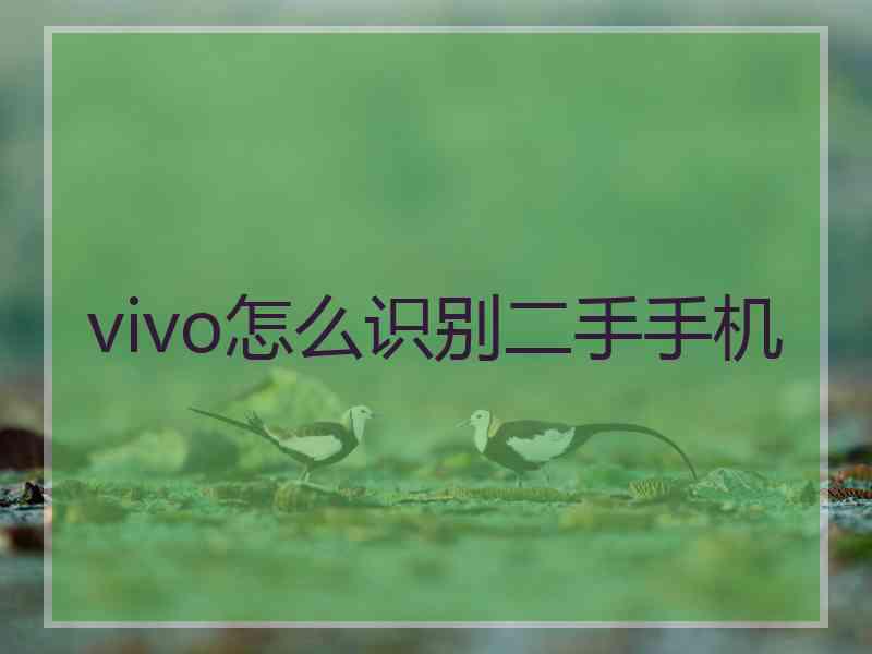 vivo怎么识别二手手机