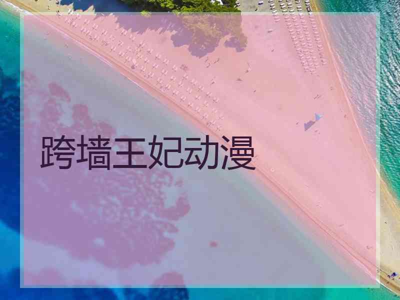 跨墙王妃动漫