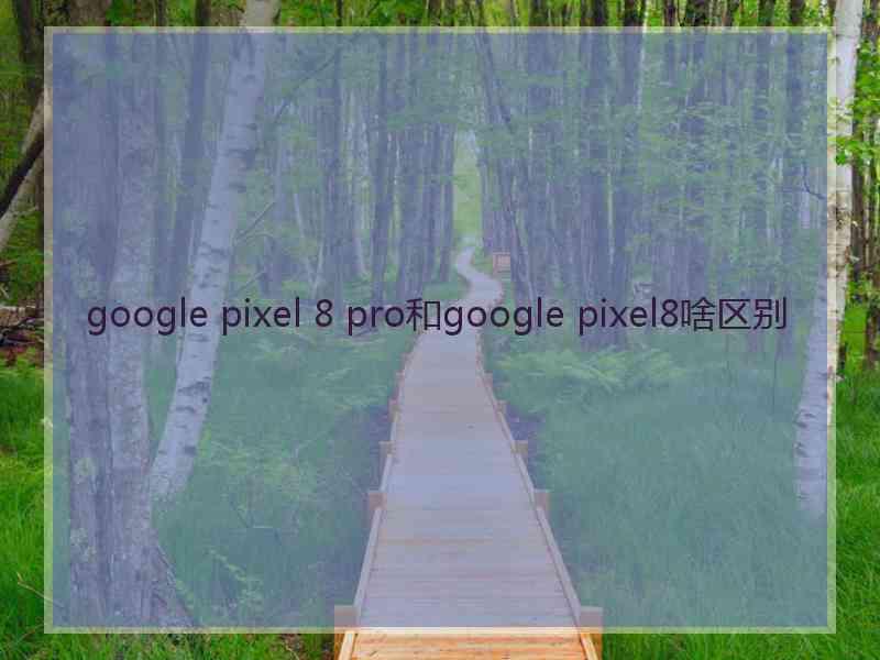 google pixel 8 pro和google pixel8啥区别