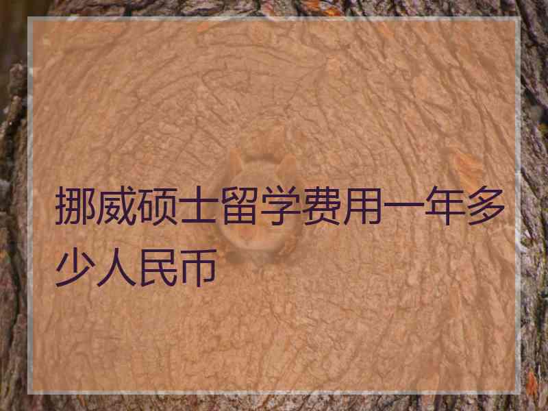 挪威硕士留学费用一年多少人民币