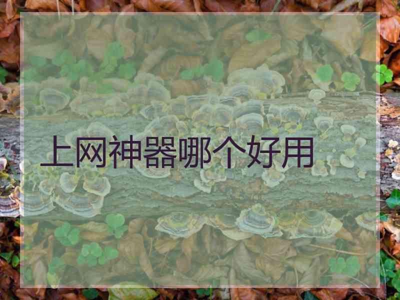 上网神器哪个好用