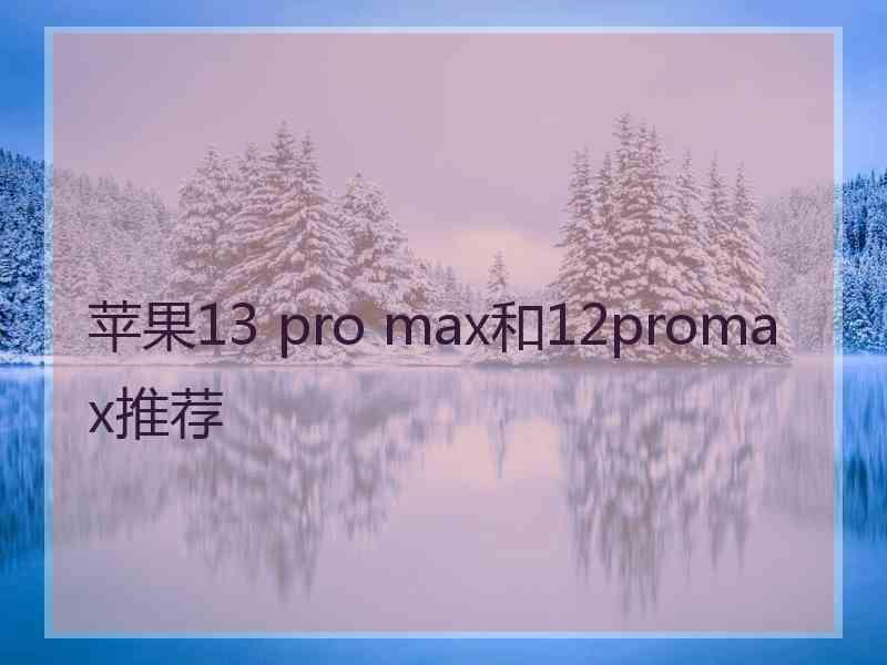 苹果13 pro max和12promax推荐