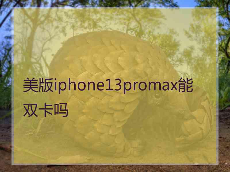 美版iphone13promax能双卡吗