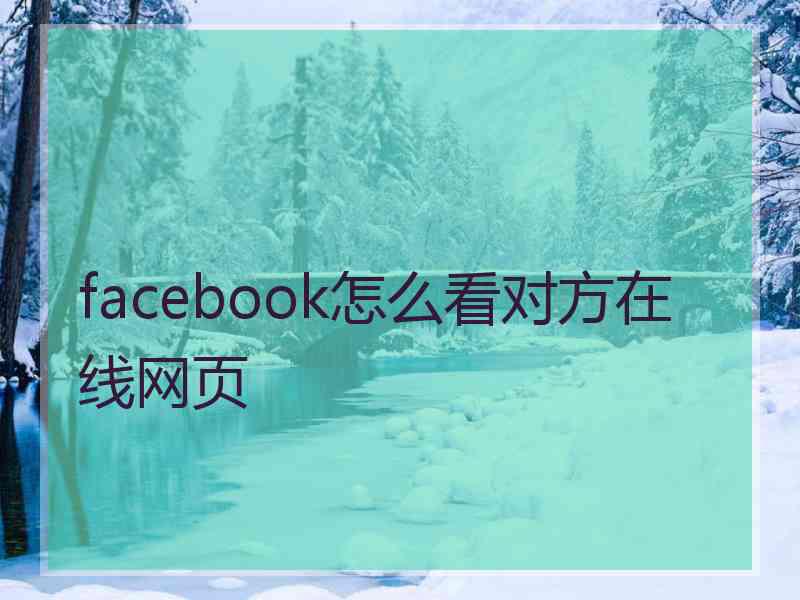 facebook怎么看对方在线网页