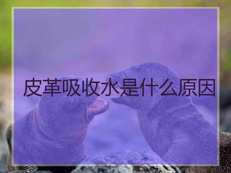 皮革吸收水是什么原因