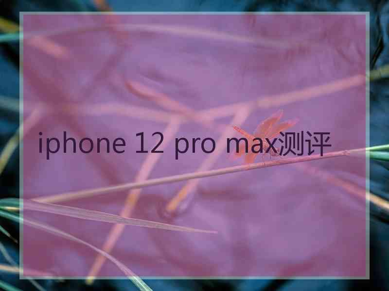 iphone 12 pro max测评