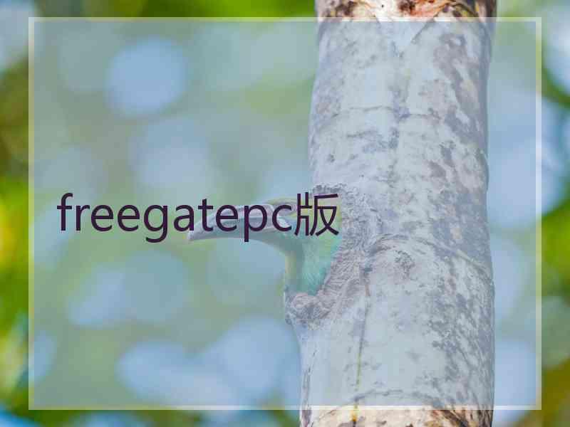 freegatepc版