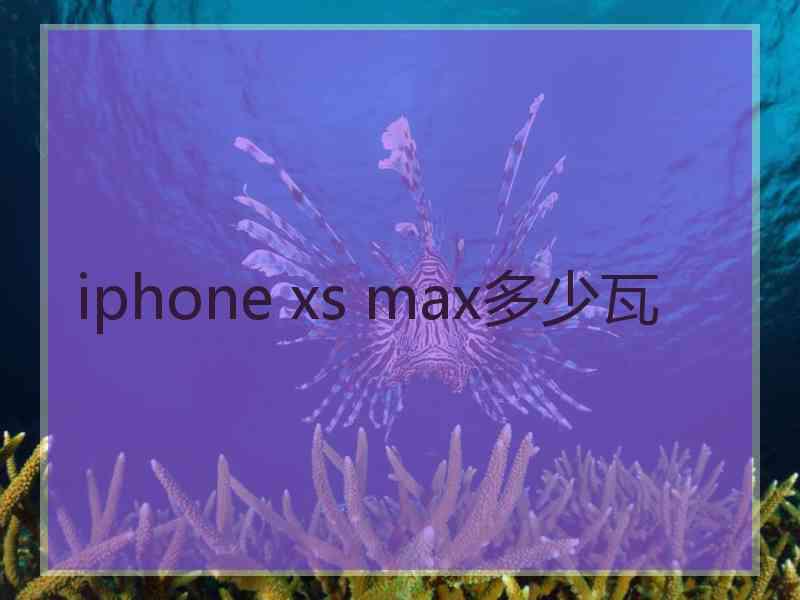 iphone xs max多少瓦