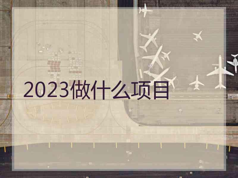 2023做什么项目