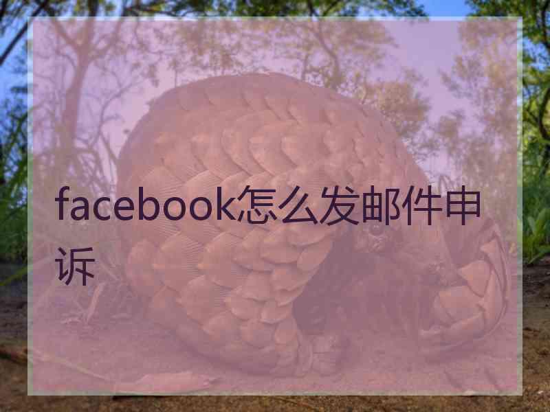 facebook怎么发邮件申诉