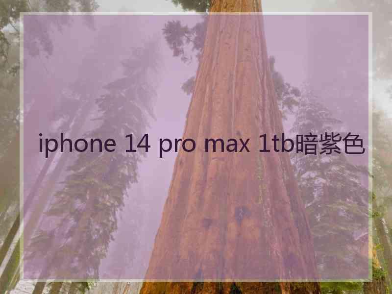 iphone 14 pro max 1tb暗紫色