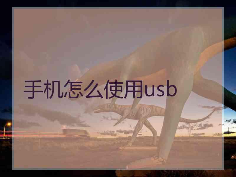 手机怎么使用usb