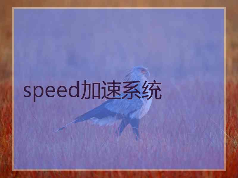 speed加速系统