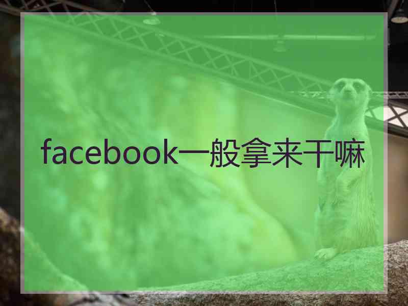 facebook一般拿来干嘛