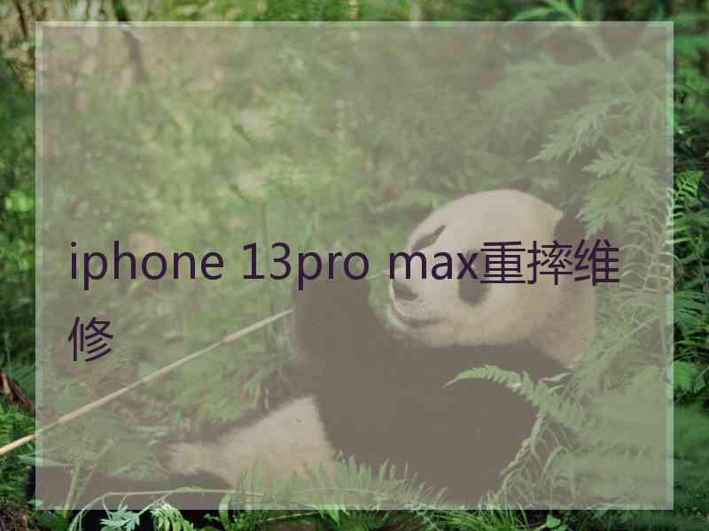 iphone 13pro max重摔维修