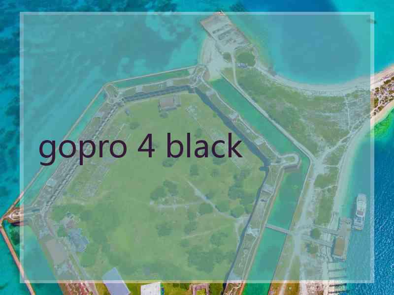 gopro 4 black